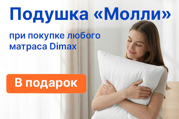 1 подушка Dimax Молли в подарок