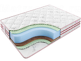 Sontelle Sante Roll Grace